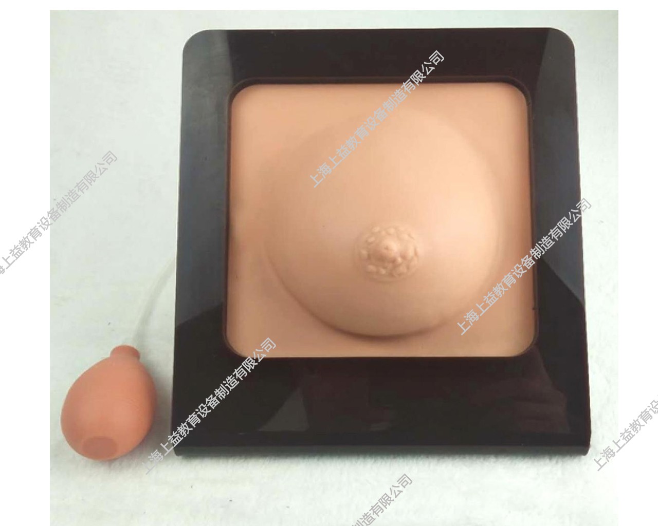 SG7153	乳房檢查模型