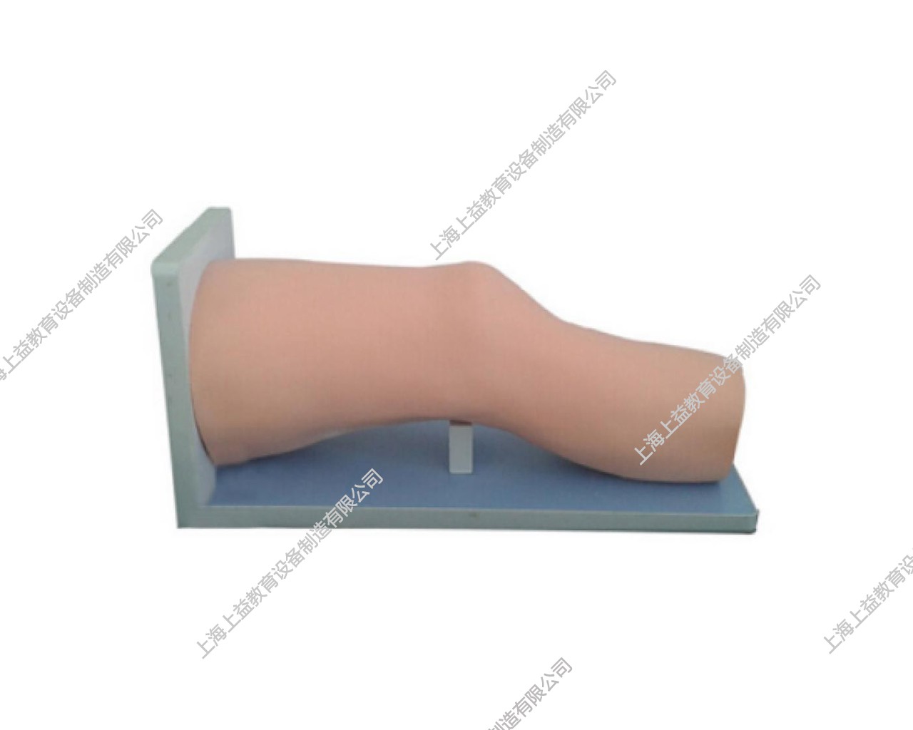 SG7103	高級電子膝關節腔內注射模型
