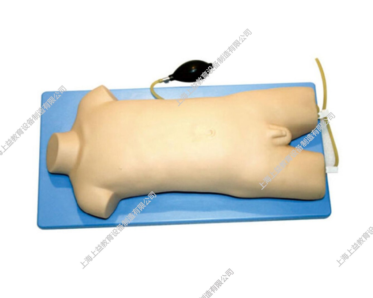 IM8133	兒童股靜脈與股動脈穿刺訓練模型