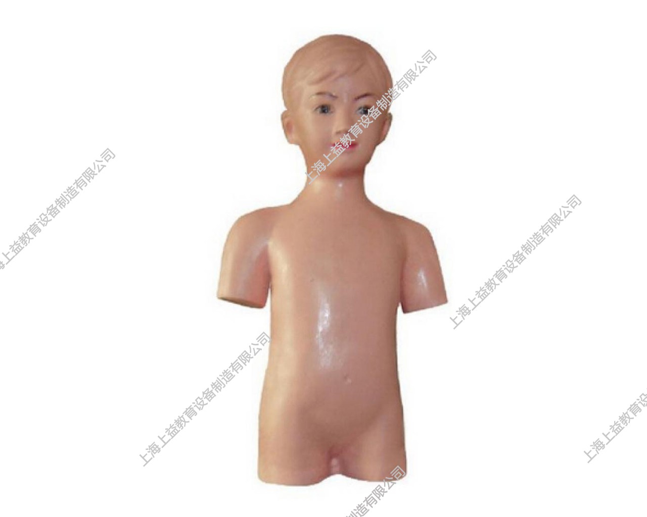 IM8130	兒童胸腔穿刺訓練模型
