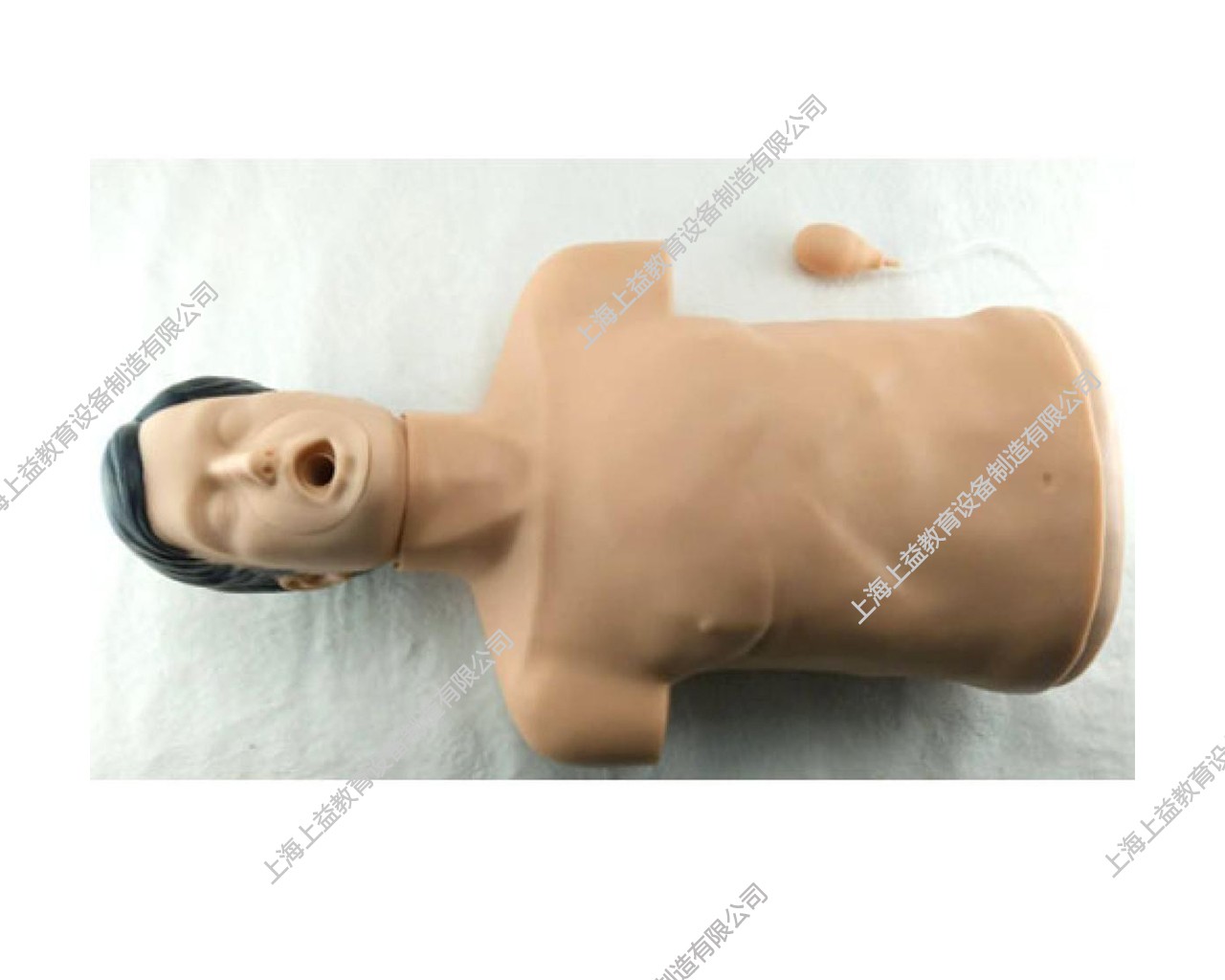EM9232	高級成人氣道梗塞及CPR模型