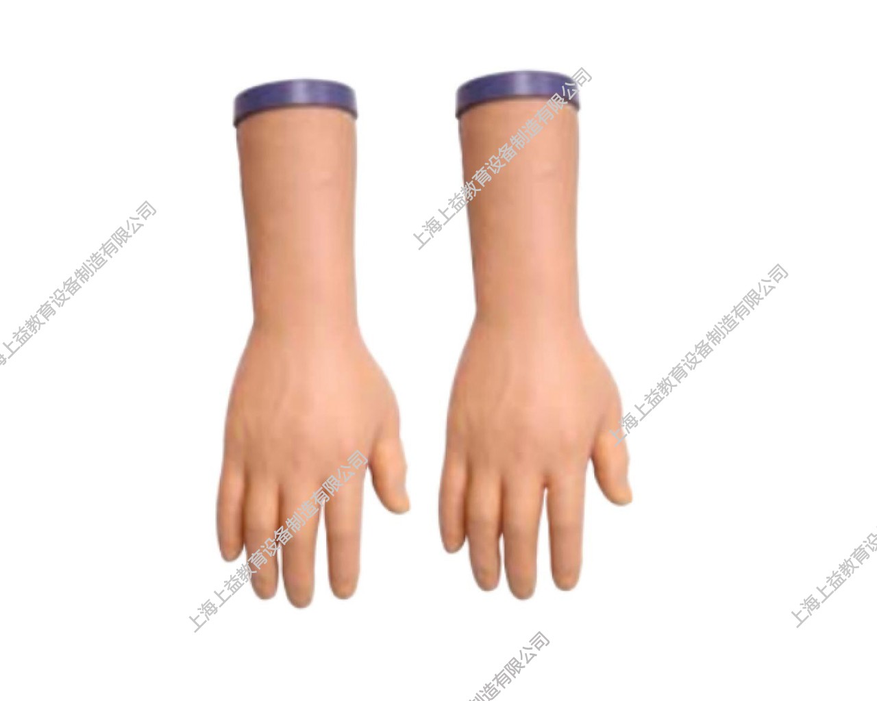NM2259	經濟型靜脈注射操作模型—右手臂