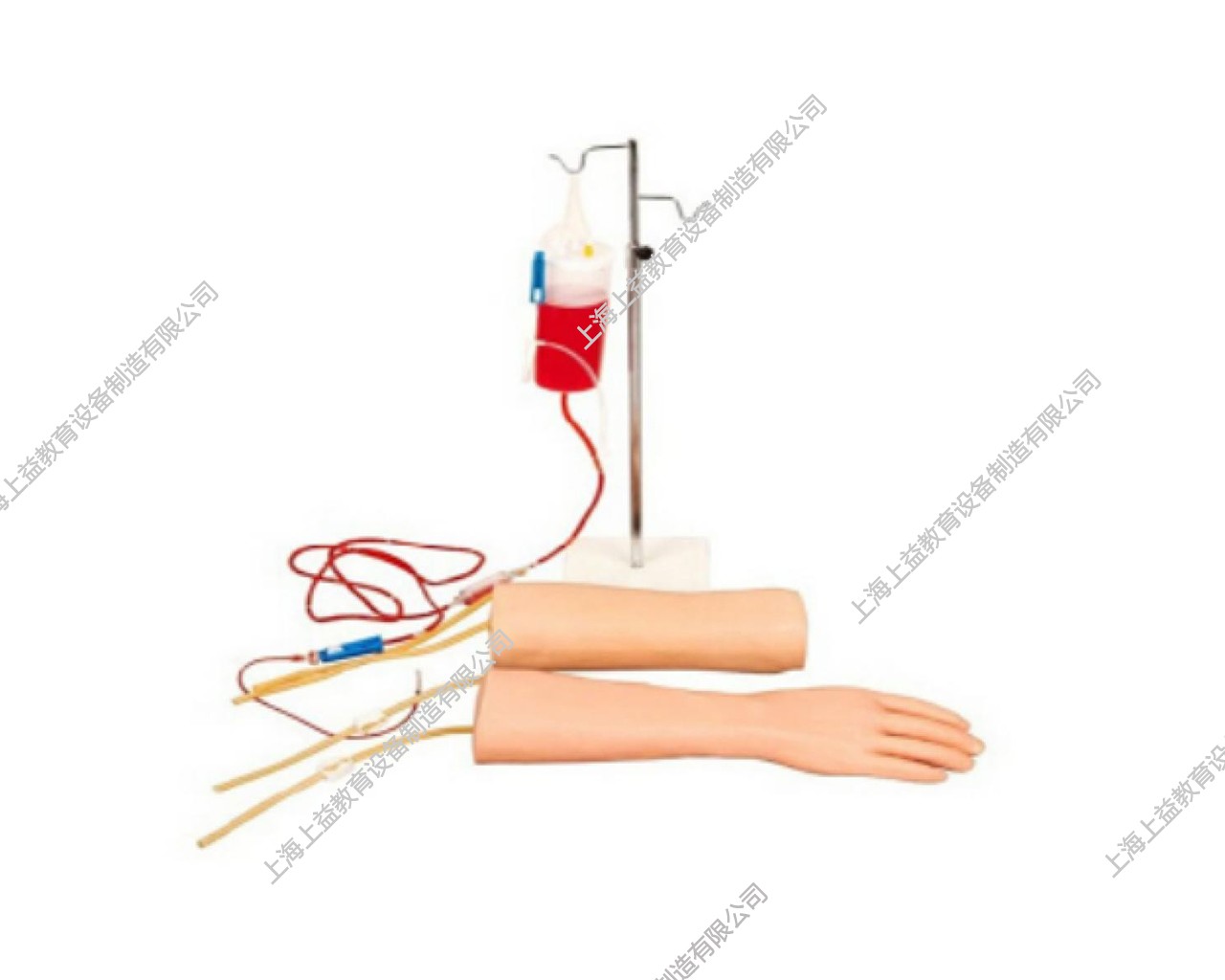 NM2128 手部、肘部組合式靜脈輸液（血）訓練模型