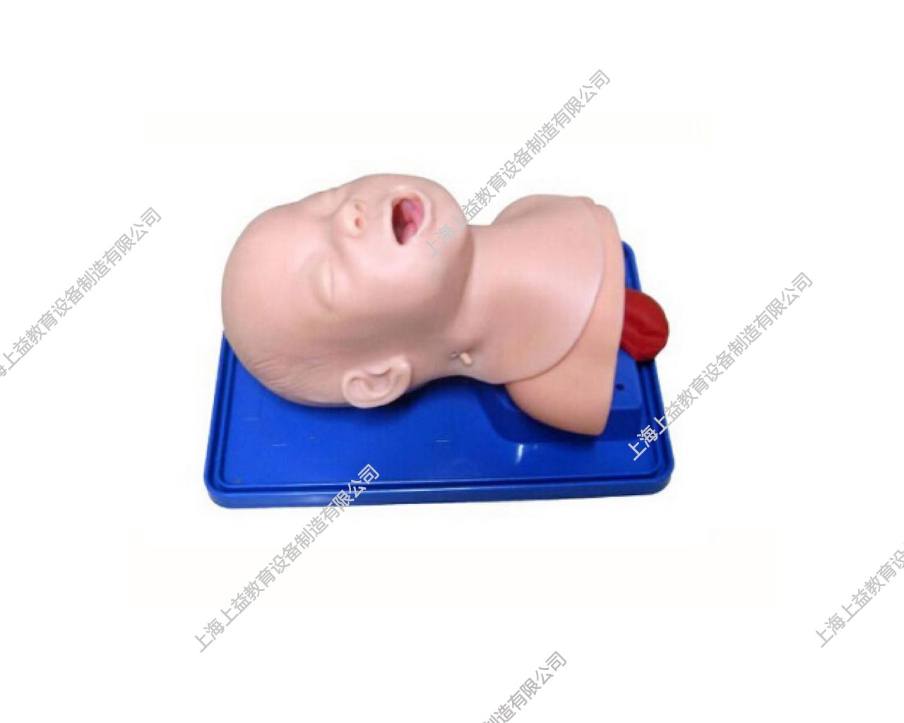 PD5175 嬰兒氣管插管訓練模型