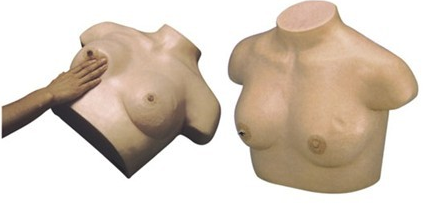 高仿真乳腺視診與觸診訓練模型（帶電子監測）